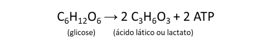 equação da fermentação lática