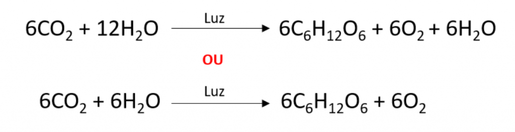 equação química da fotossíntese