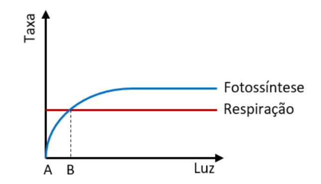 ponto de compensação luminoso, no qual a taxa de fotossíntese é igual à de respiração