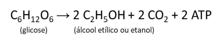 Equação química da Fermentação Alcoólica