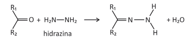 A reação de cetonas com hidrazinas - Prova de química Fuvest 2020
