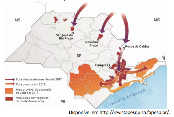 Questão de Geografia - Fuvest 2020 - Relação entre vegetação e altitude -  TudoGeo