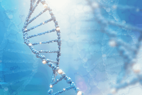 Genótipo e Fenótipo: conceitos básicos e convenções da Genética