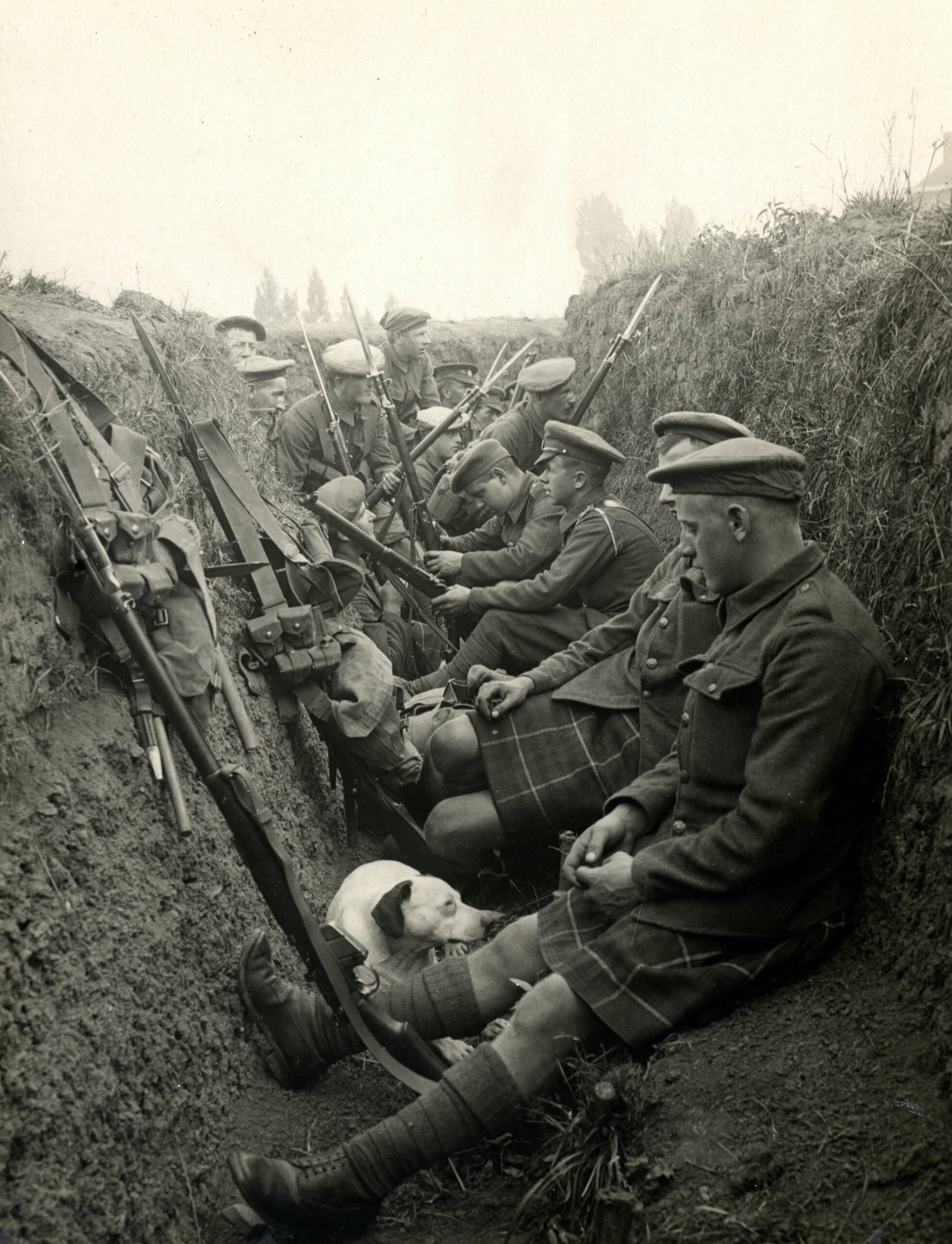Primeira Guerra Mundial: causas, fases e consequências