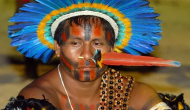 Índio tradicional brasileiro
