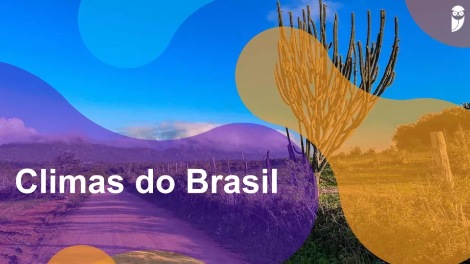 Climas do Brasil: quais são, tipos e características