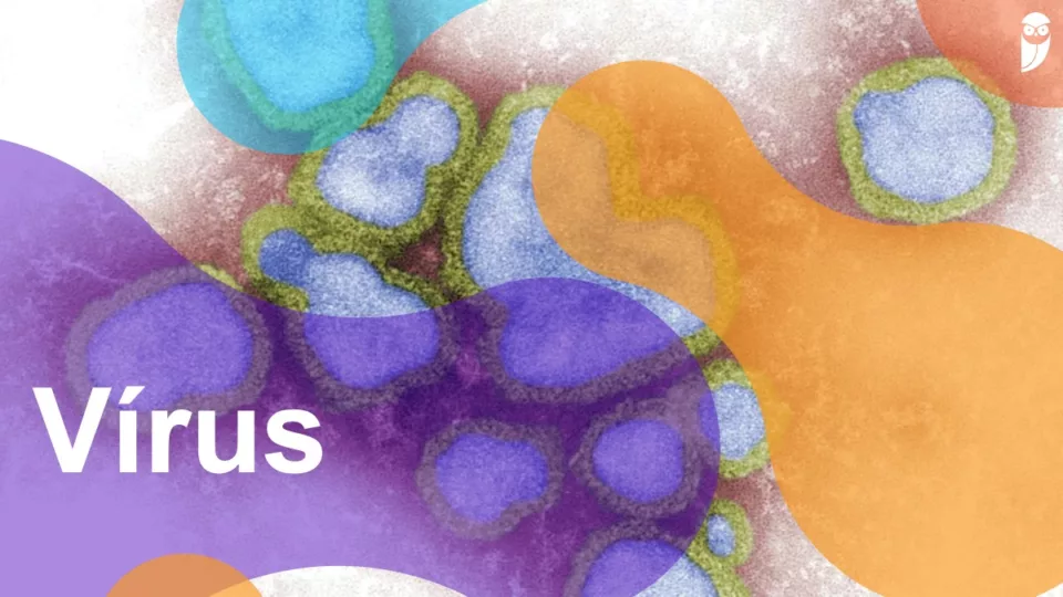 Vírus: o que são, características, estrutura, doenças e muito mais!