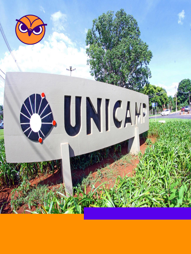 Unicamp 2023: veja os cursos mais e menos concorridos
