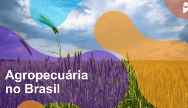 Agropecuária no Brasil - Estratégia