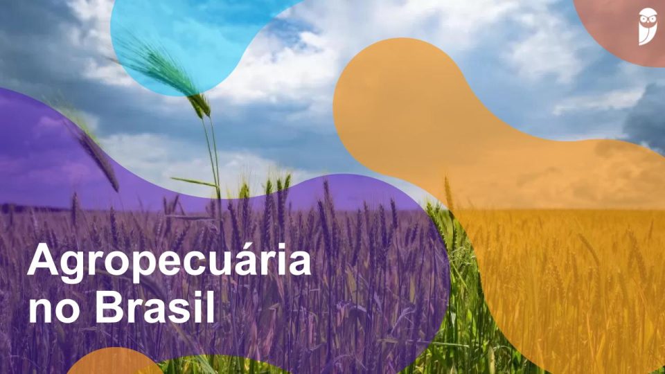 Agropecuária no Brasil: características, importância e questões