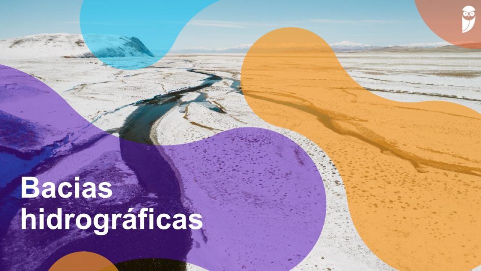 Bacias hidrográficas: o que são, distribuição e bacias do Brasil