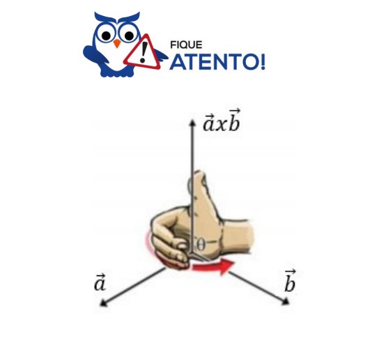 Vetores: definição, decomposição, subtração e mais!
