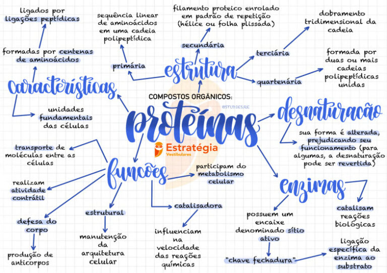 Proteínas O Que São Estrutura Características E Aplicações 7604